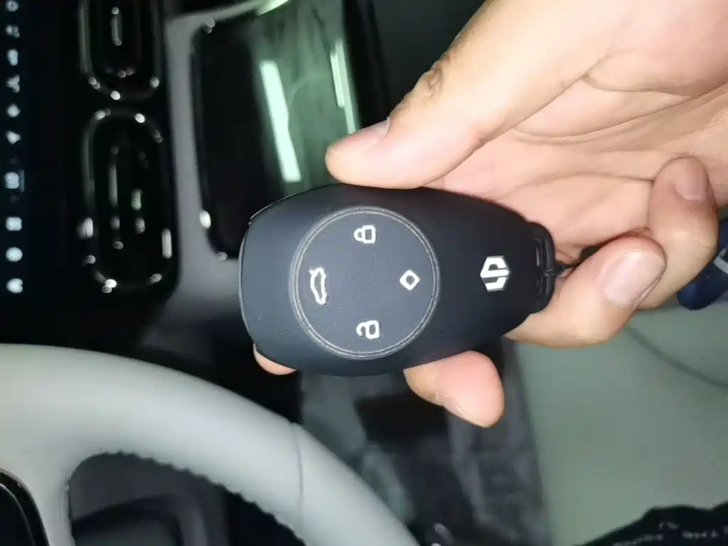 Leapmotor Leapmotor C11 — миниатюра 9