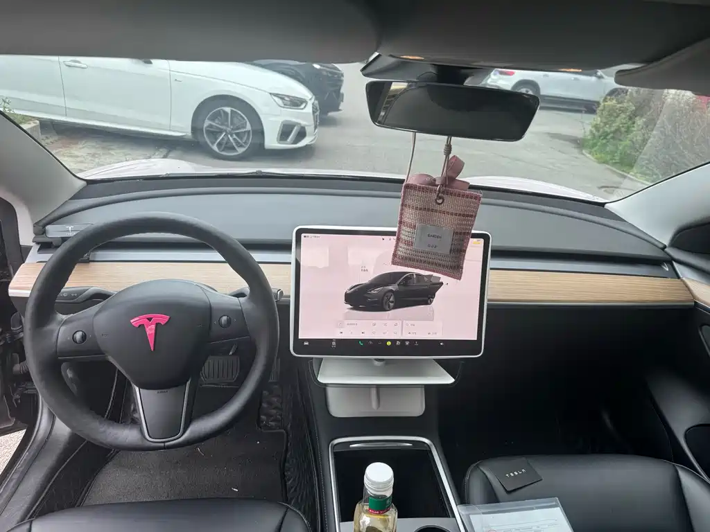 Tesla Model 3 — миниатюра 5