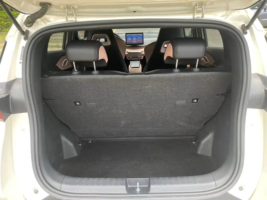 BYD Seagull