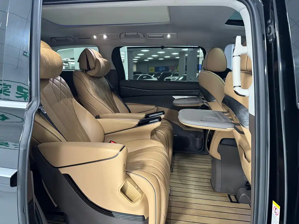 Denza Denza D9 — миниатюра 9