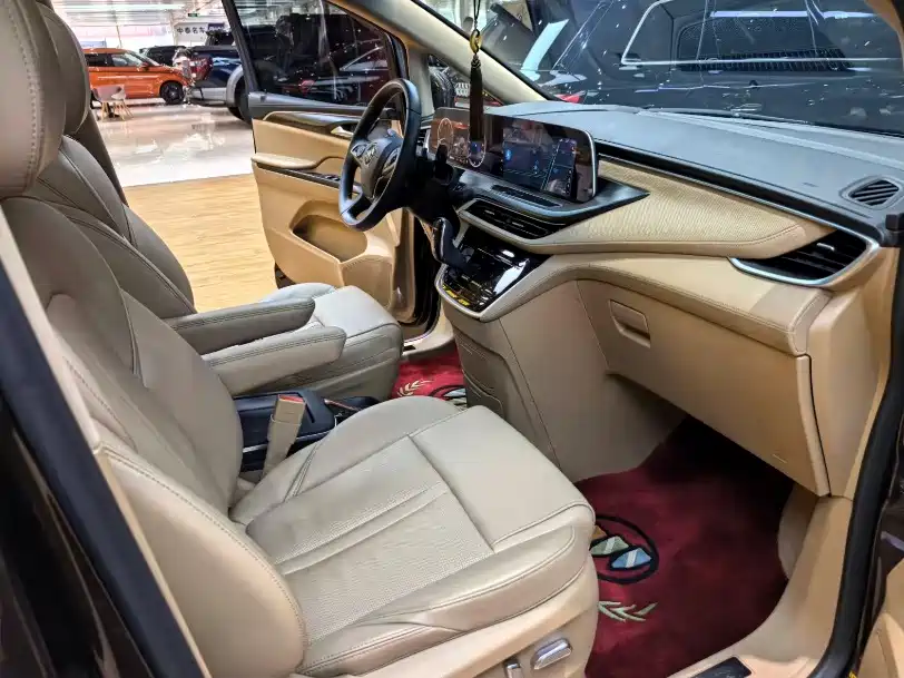 Buick GL8 — миниатюра 6