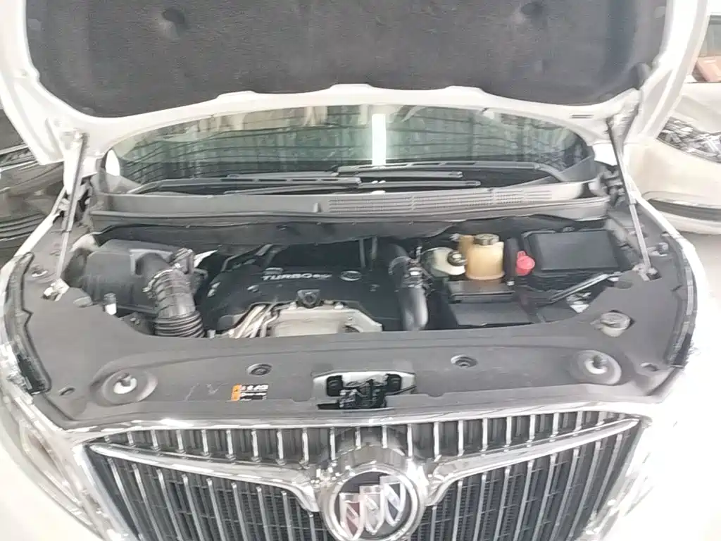 Buick GL8 — миниатюра 20