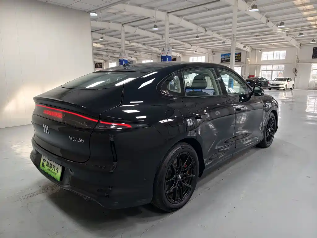 IM IM LS6 — миниатюра 4