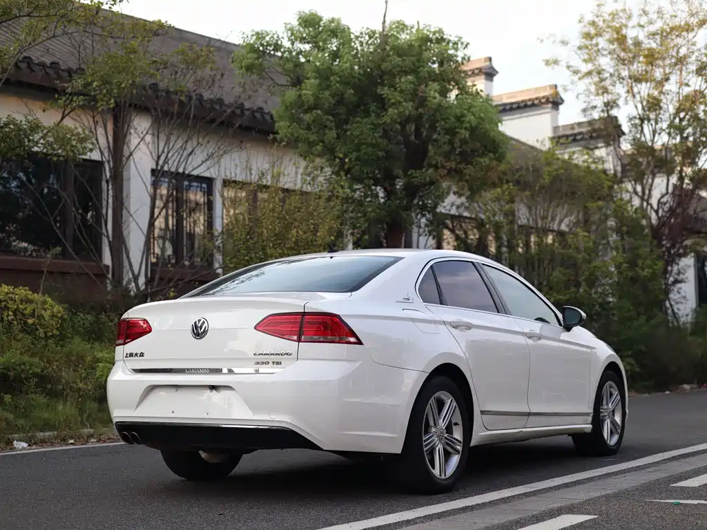 Volkswagen Lamando — миниатюра 5