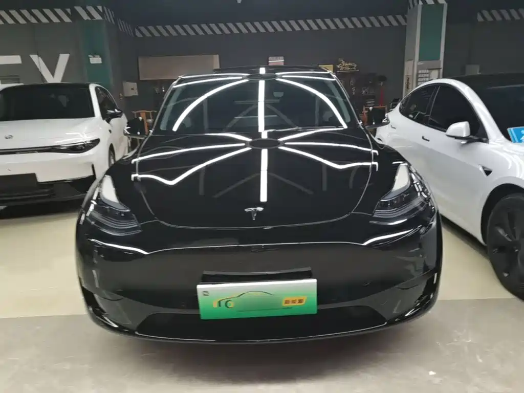 Tesla Model Y — миниатюра 3