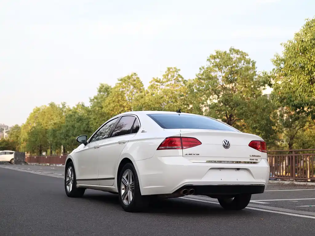 Volkswagen Lamando — миниатюра 4