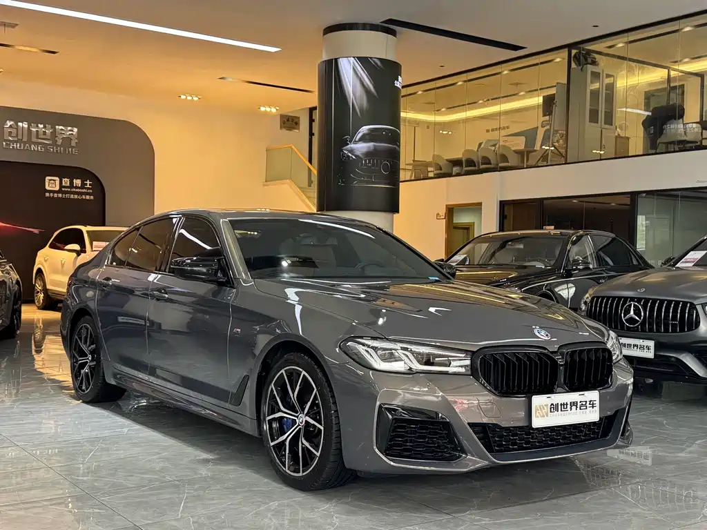 BMW 5 Series (Import) — миниатюра 3
