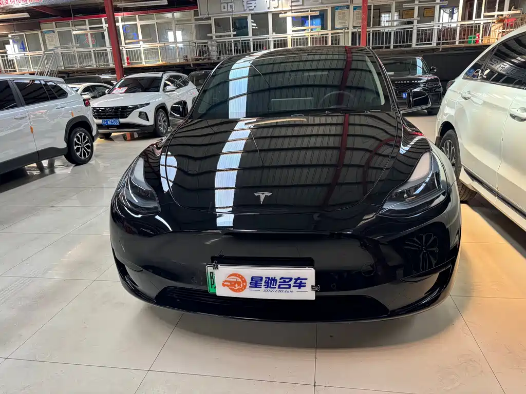 Tesla Model Y — миниатюра 2