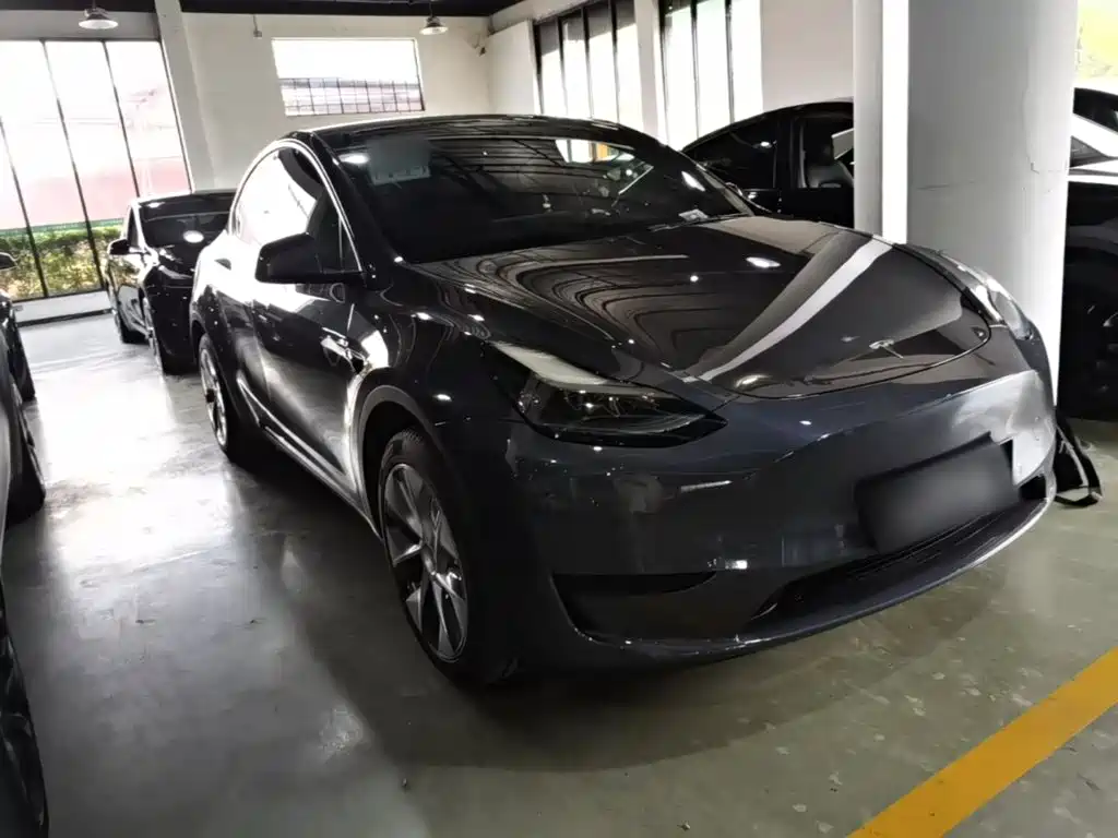 Tesla Model Y — миниатюра 4