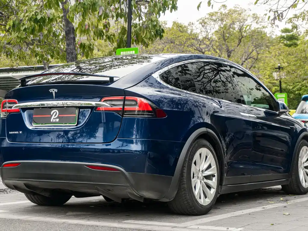 Tesla Model X — миниатюра 4