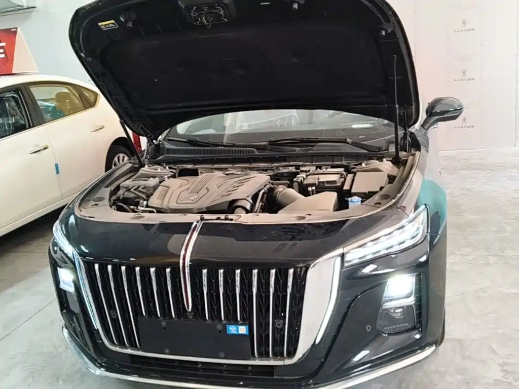 Hongqi Hongqi H5 — миниатюра 20