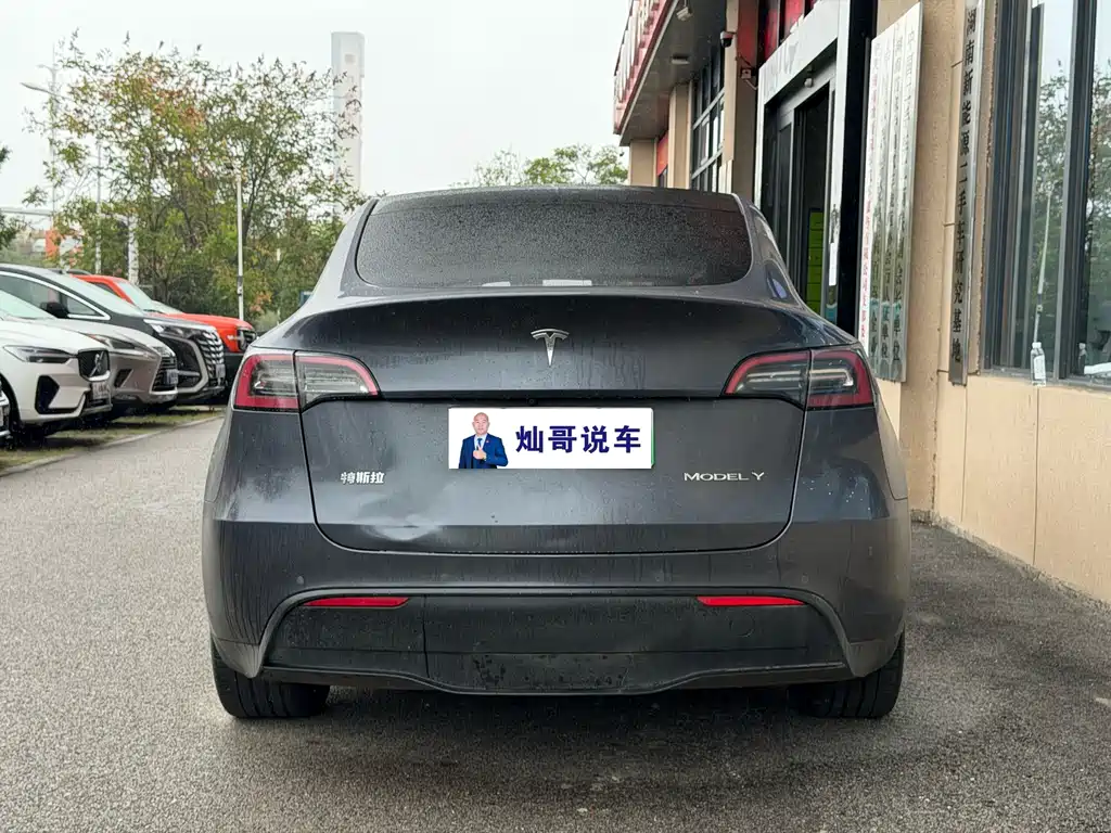 Tesla Model Y — миниатюра 6