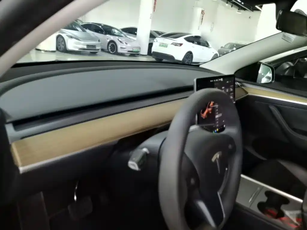 Tesla Model Y — миниатюра 10