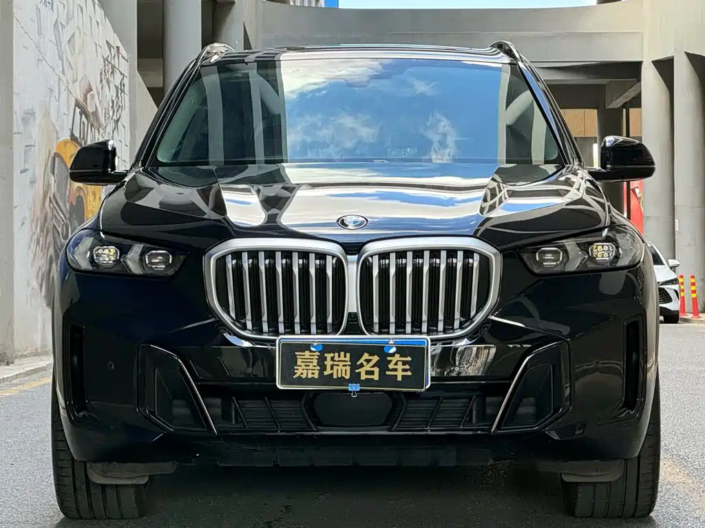 BMW X5 — миниатюра 2