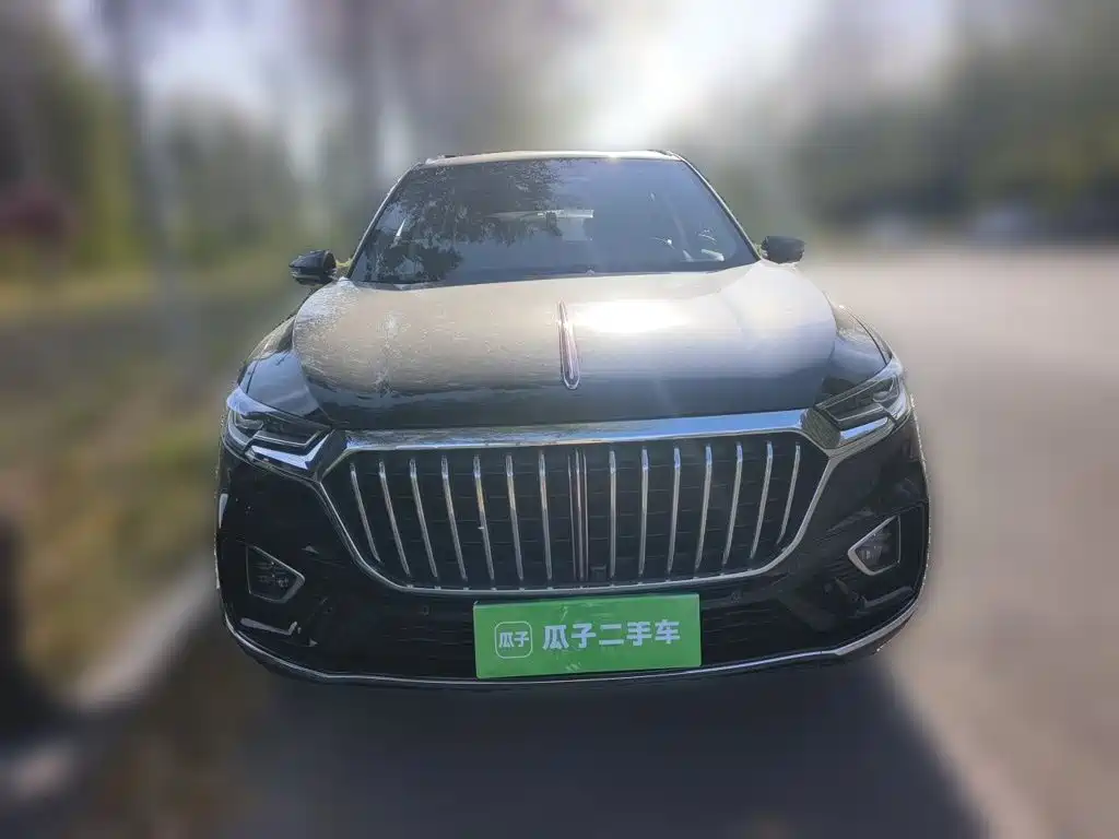 Hongqi Hongqi HS5 — миниатюра 2