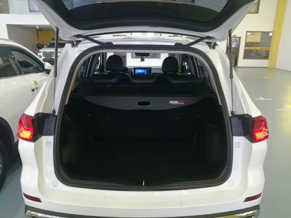Haval M6 — миниатюра 19