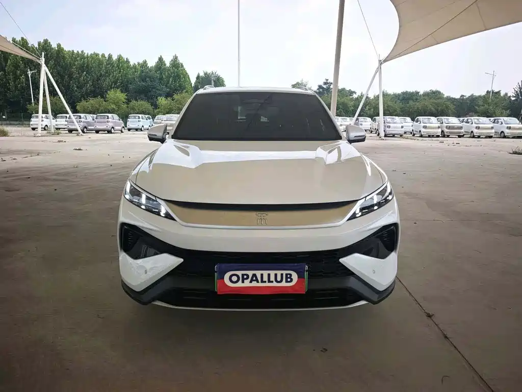 BYD Pro New Energy - фото 2
