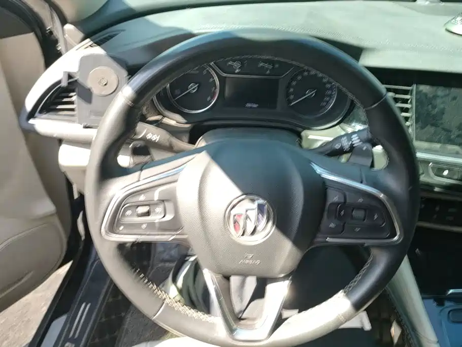Buick Regal — миниатюра 15