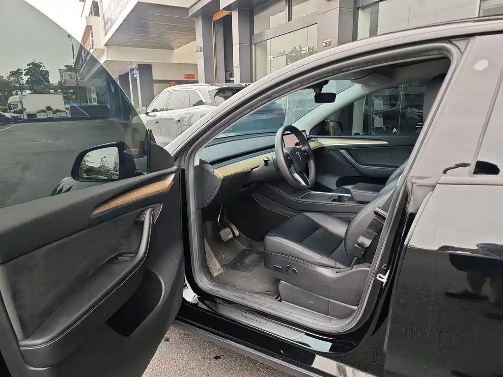 Tesla Model Y — миниатюра 6