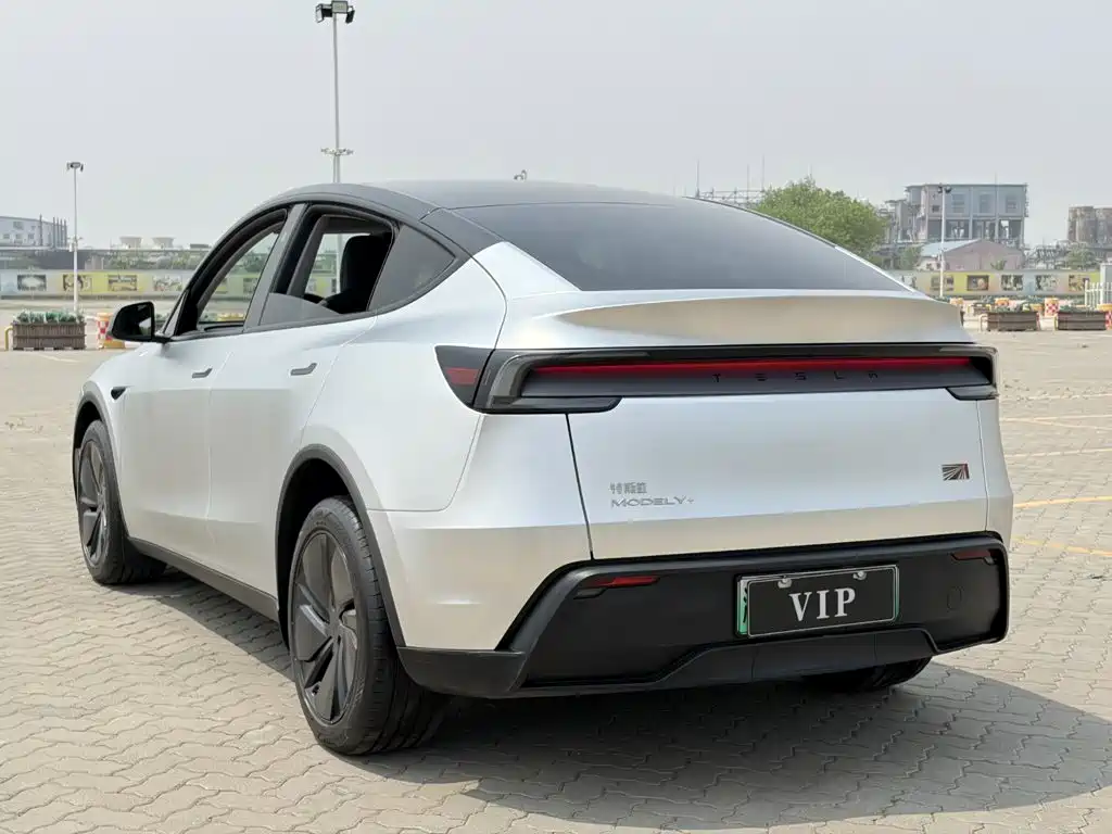 Tesla Model Y — миниатюра 7