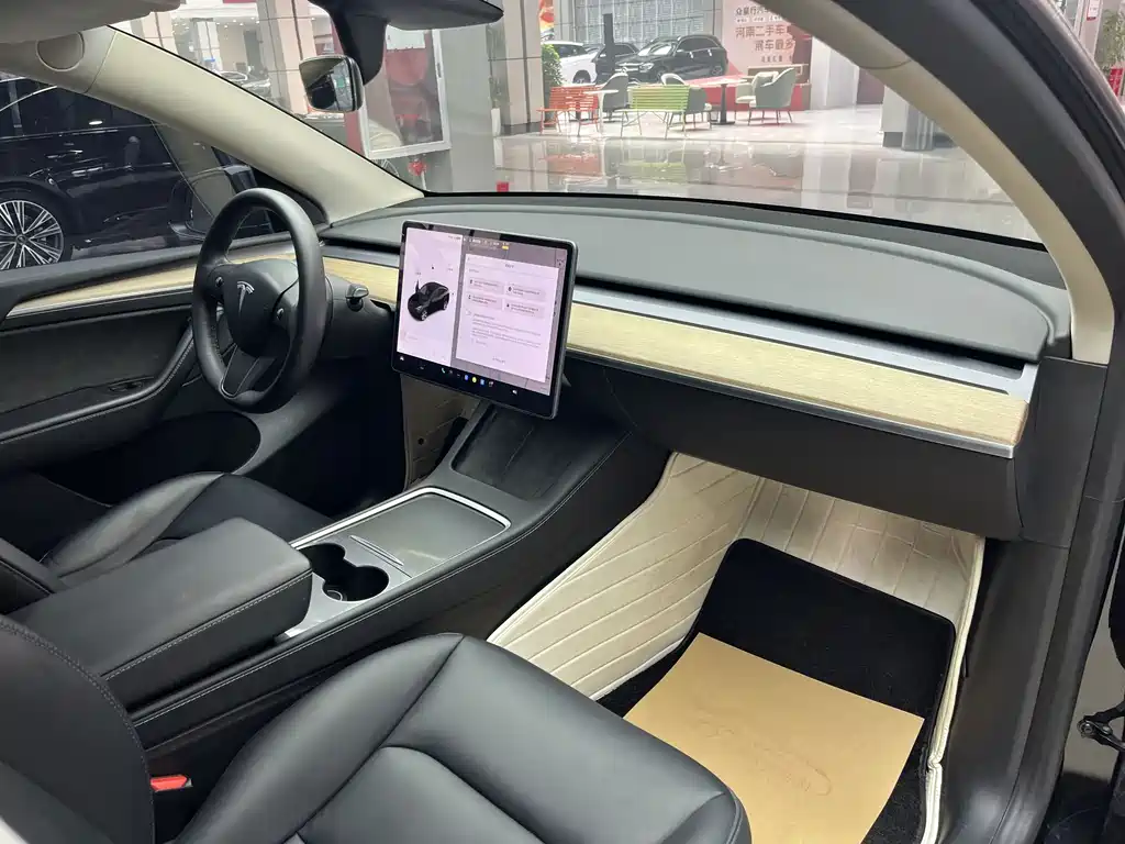 Tesla Model Y — миниатюра 14