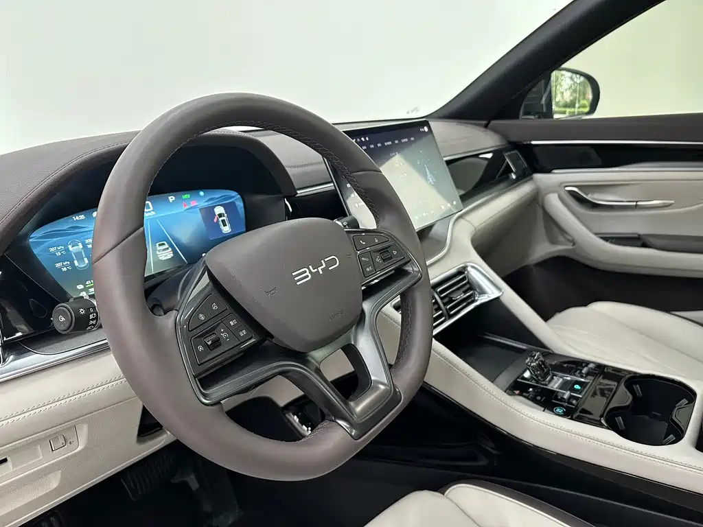 BYD PLUS New Energy — миниатюра 16