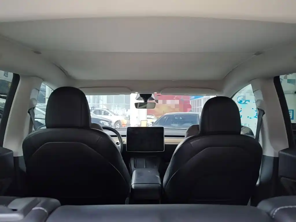 Tesla Model Y — миниатюра 18