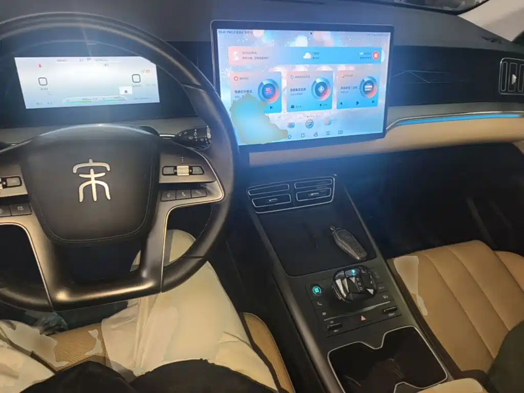 BYD Pro New Energy — миниатюра 10