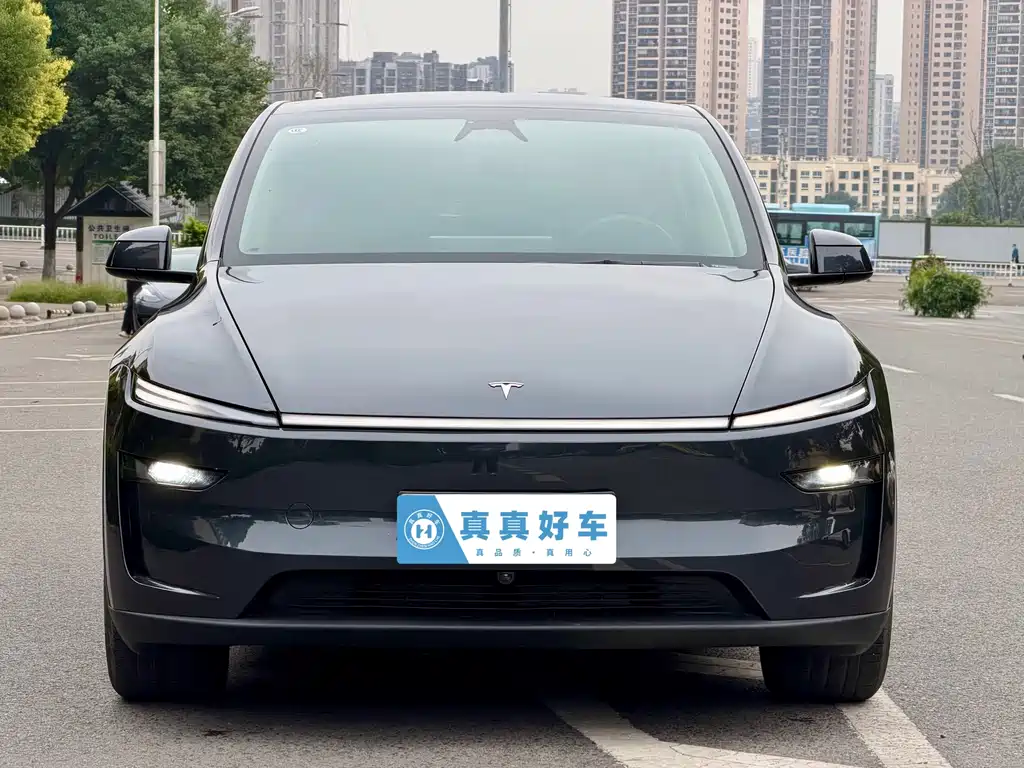 Tesla Model Y — миниатюра 2
