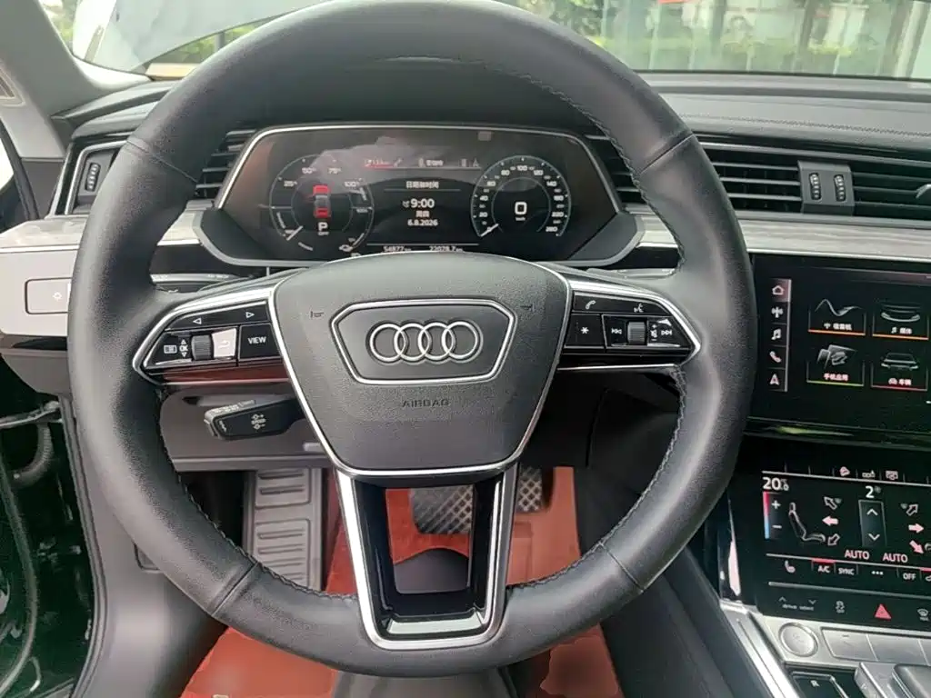 Audi e-tron (Import) — миниатюра 11
