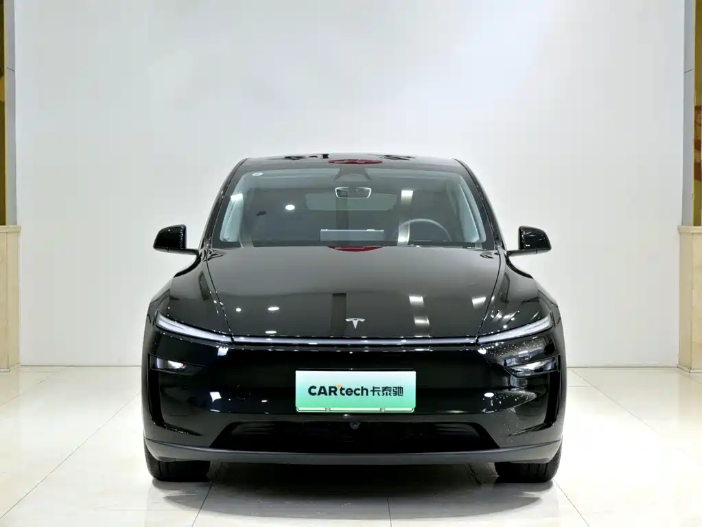 Tesla Model Y — миниатюра 2