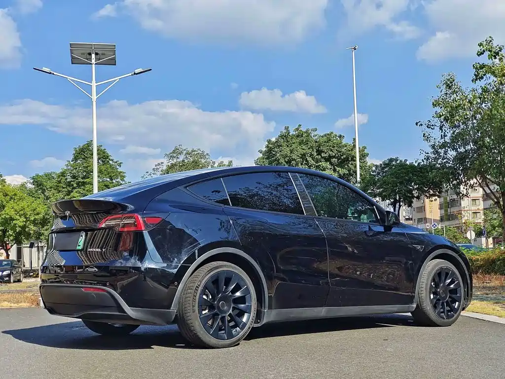 Tesla Model Y — миниатюра 7