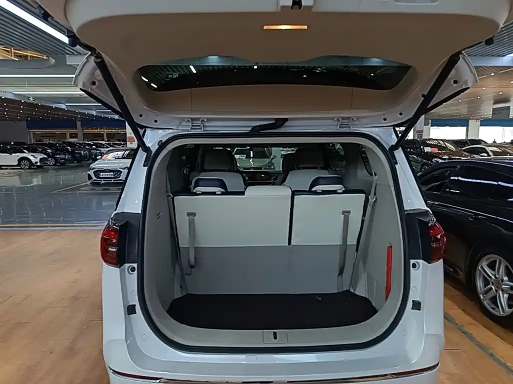 Buick GL8 — миниатюра 19