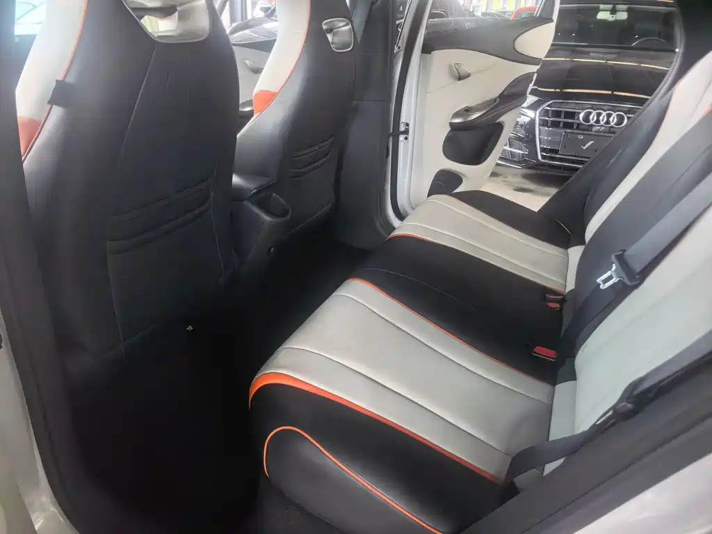 BYD Dolphin 2021 405km Fashion