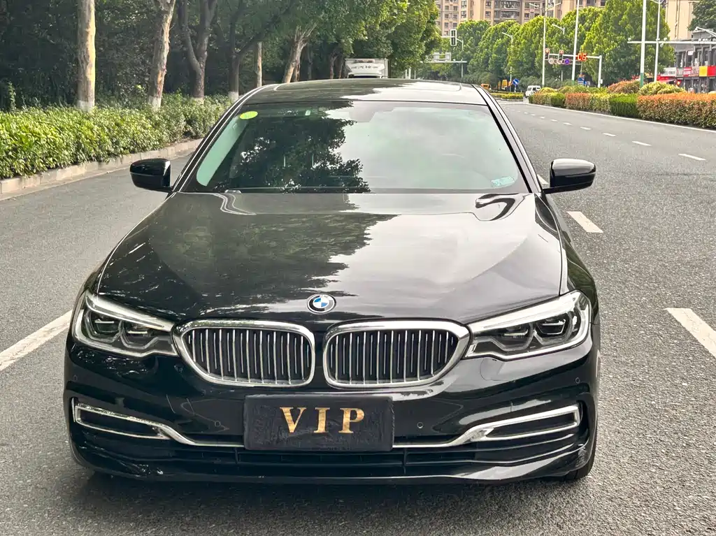 BMW 5 Series 5 2020 530Li Lead Luxury