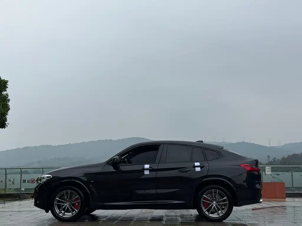BMW X4 2019 xDrive25i M Sport