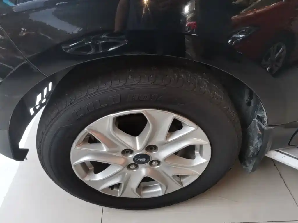 Ford Ecosport — миниатюра 23