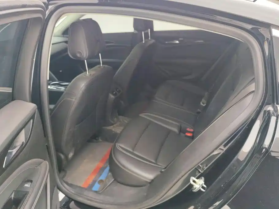 Buick Regal — миниатюра 11