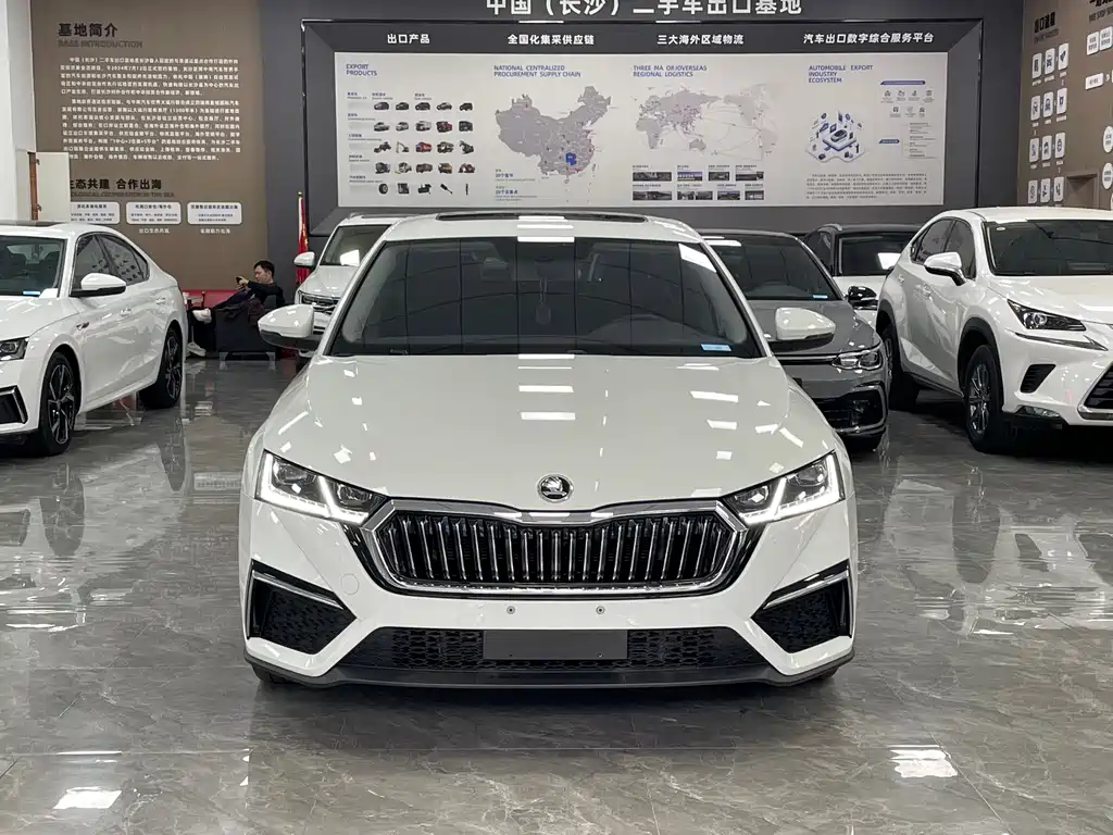 Skoda Octavia — миниатюра 2