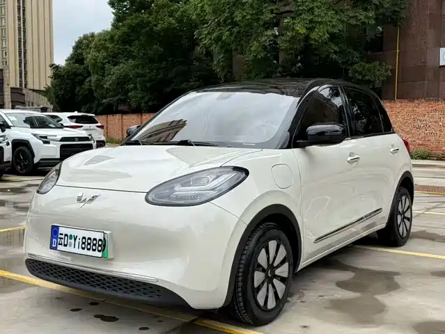 2024 Wuling Motors Binguo