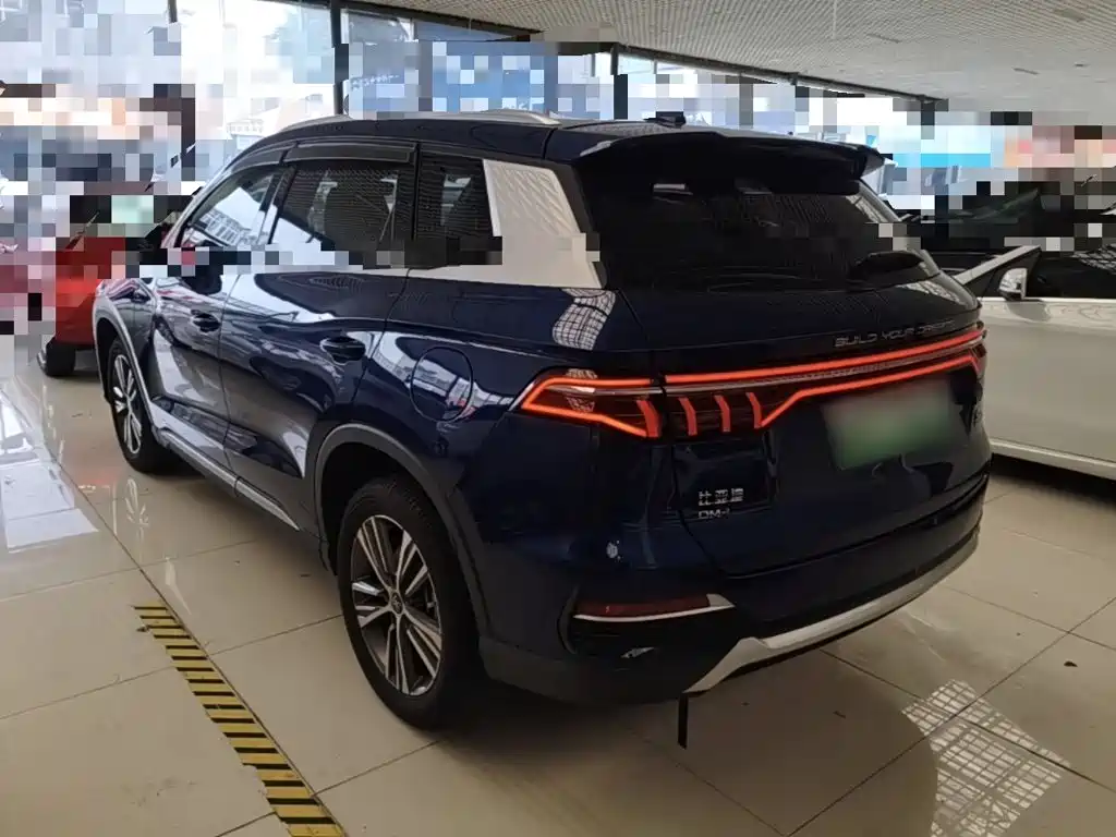 BYD Pro New Energy — миниатюра 5
