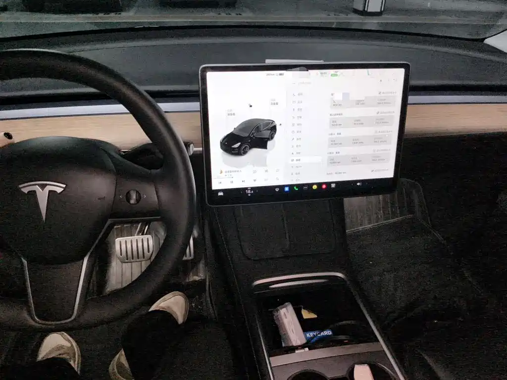Tesla Model Y — миниатюра 10
