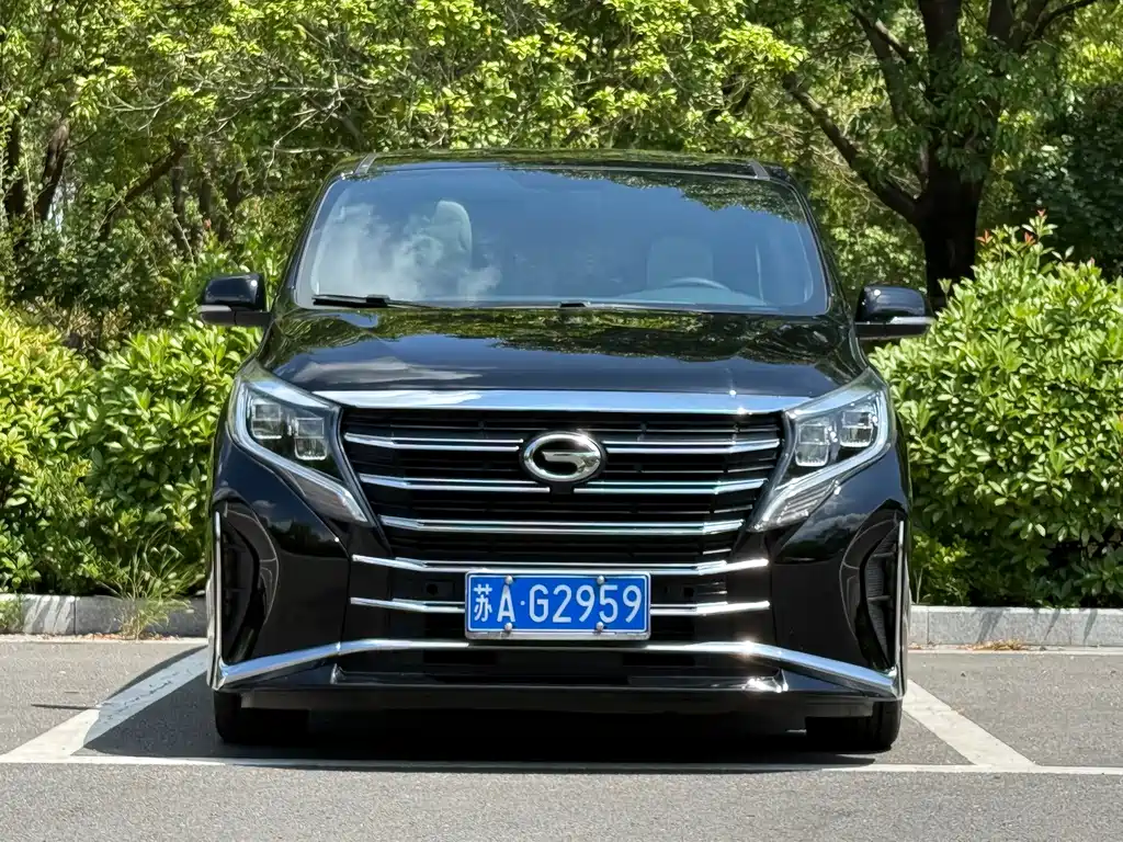 GAC Motor Trumpchi M8 — миниатюра 2