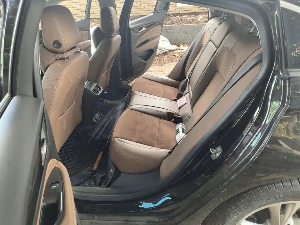 Buick Regal — миниатюра 15