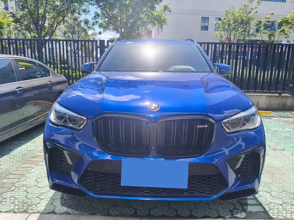 BMW X5 M — миниатюра 2