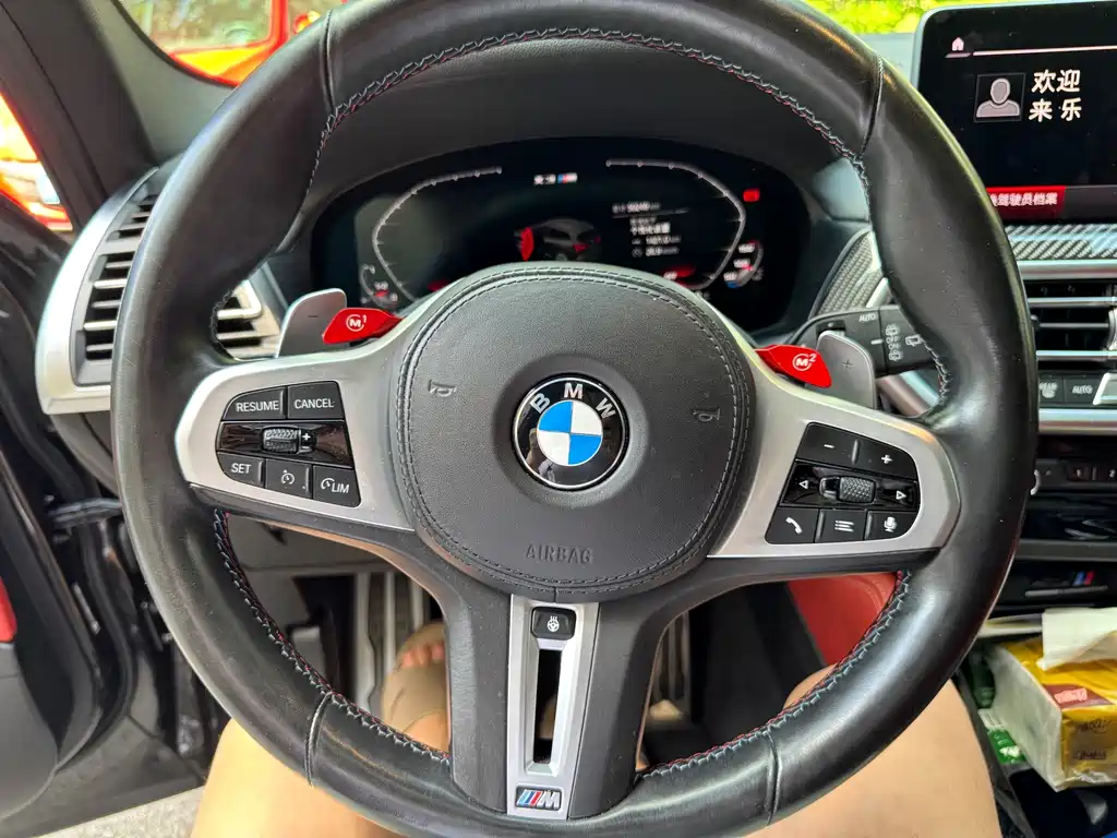 BMW X3 M — миниатюра 12