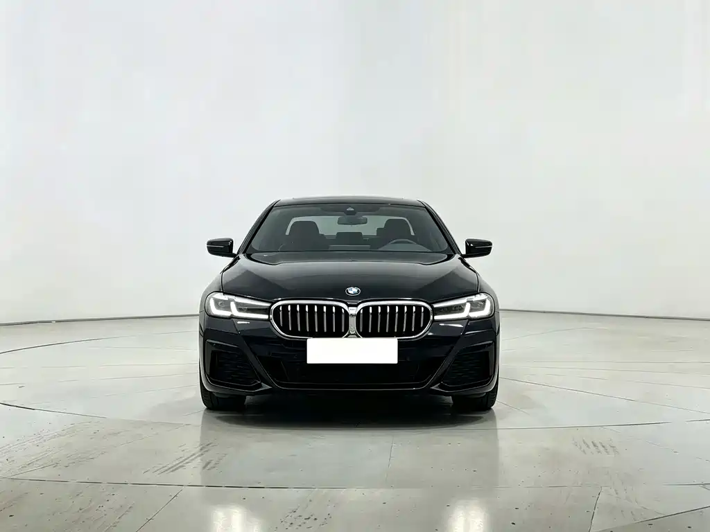 BMW 5 Series — миниатюра 2