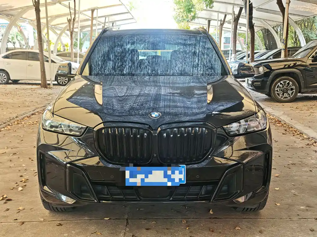 BMW X5 — миниатюра 8