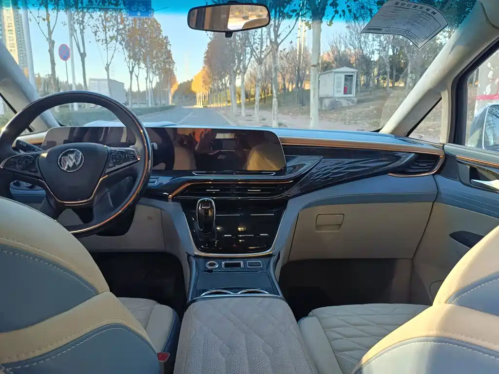 Buick GL8 — миниатюра 5