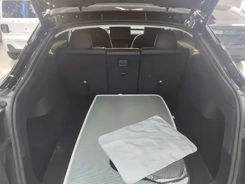 Tesla Model Y — миниатюра 19